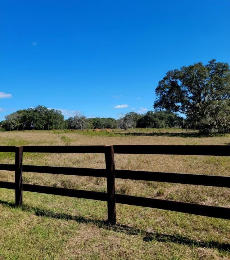 1077 SW 144th Court Road, Ocala, FL 34481 Photo