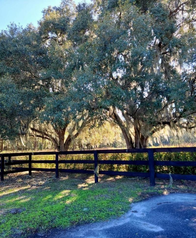 1077 SW 144th Court Road, Ocala, FL 34481 Photo