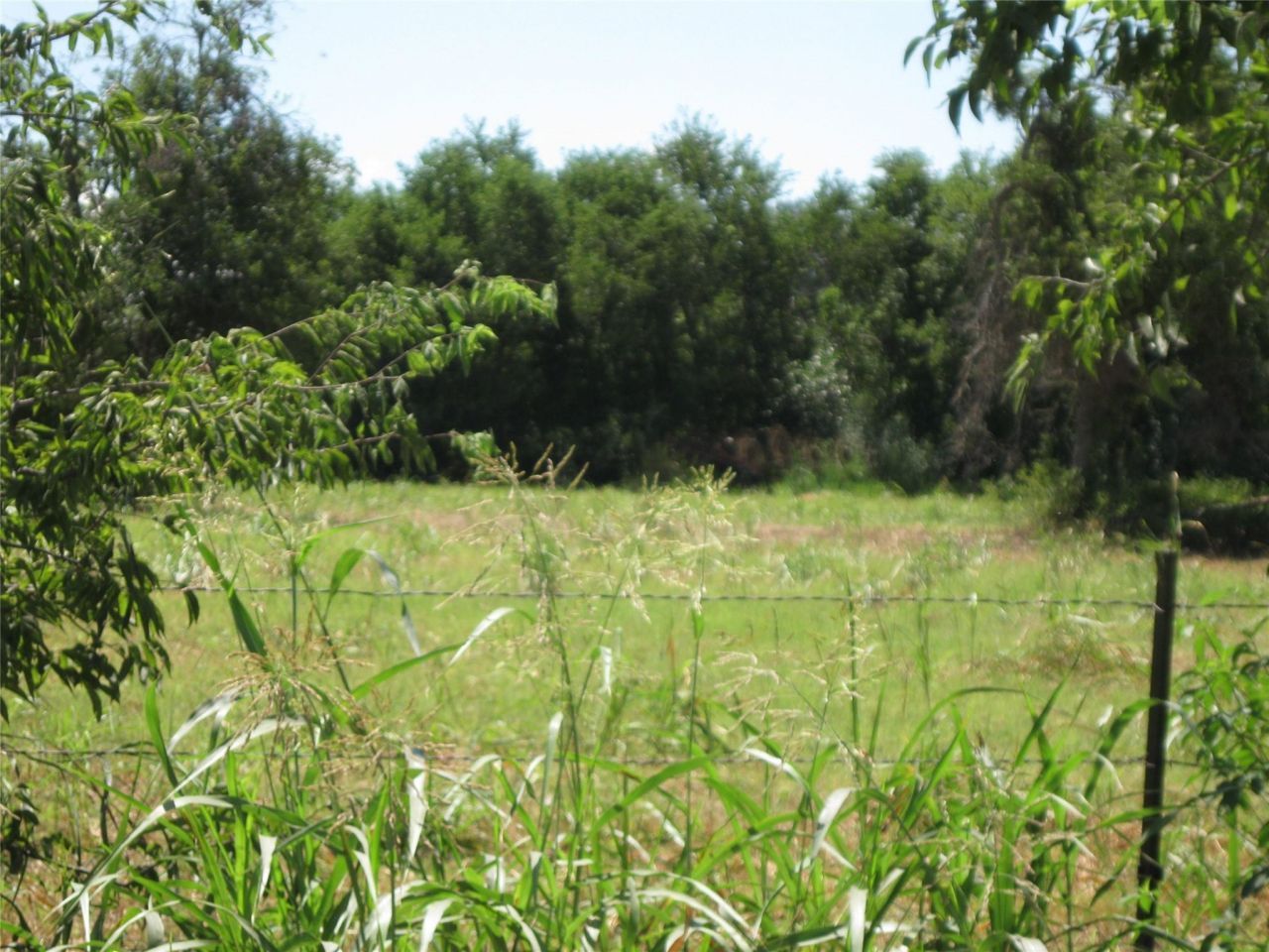 00 County Road 133 Rd, Hutto, TX 78634 Main Photo