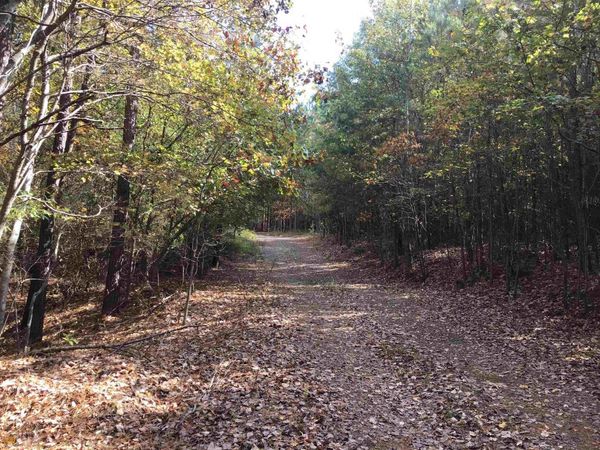 0 Snow Springs Road, Unit 9520-EAST, Adairsville, GA 30103
