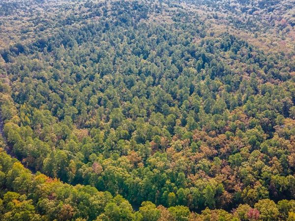 Garrison East, Little Rock, AR 72223