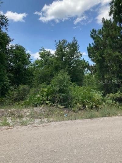 15820 Wilson Parrish Road, Umatilla, FL 32784 Photo