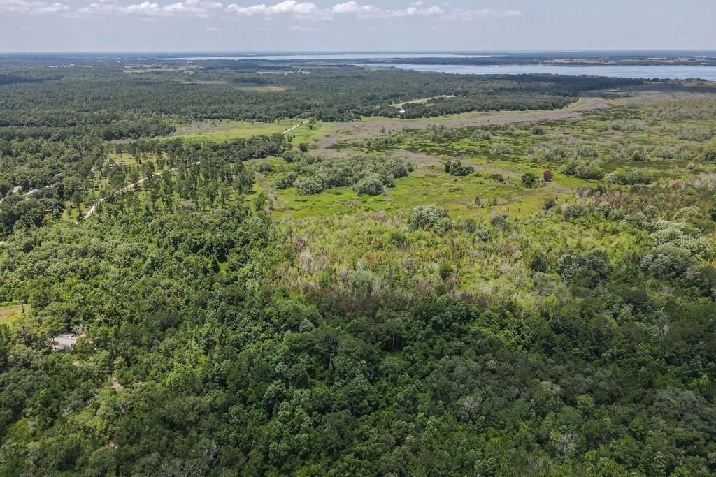 15820 Wilson Parrish Road, Umatilla, FL 32784 Photo