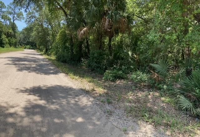 15820 Wilson Parrish Road, Umatilla, FL 32784 Photo