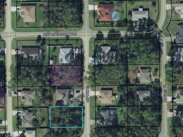 8 RIPTON PLACE, PALM COAST, FL 32164