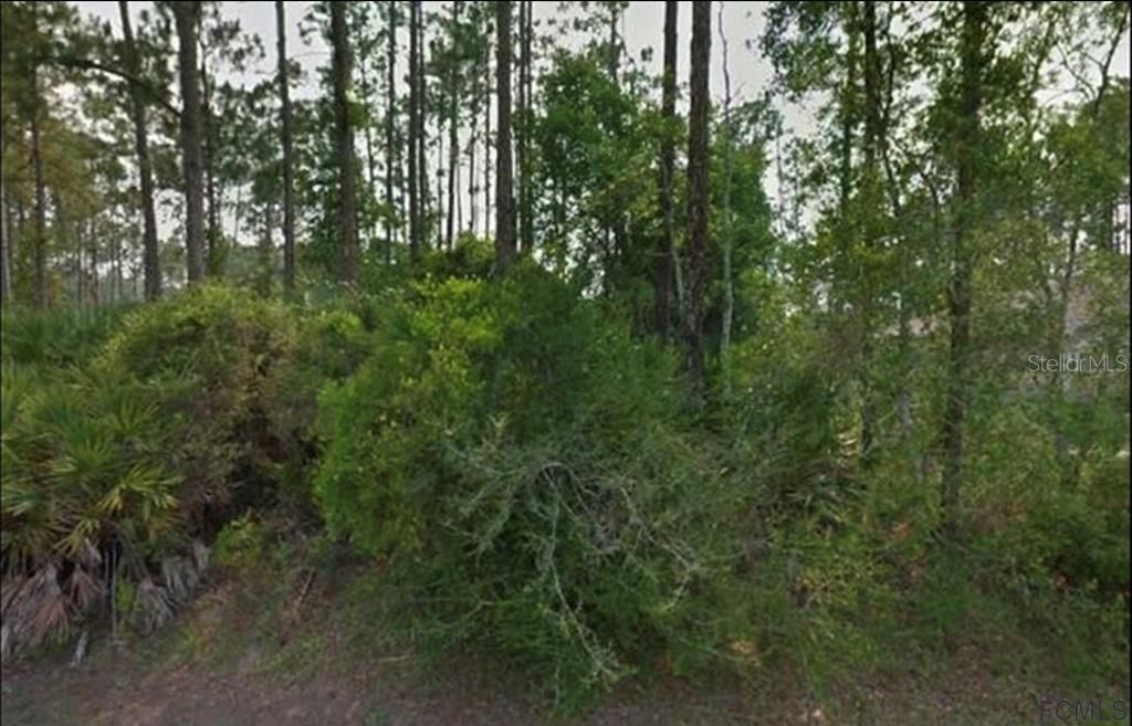 8 Ripton Place, Palm Coast, FL 32164 Photo