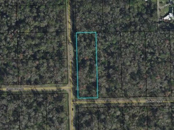 3936 EVERGREEN AVENUE, BUNNELL, FL 32110
