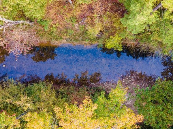 Garrison Road North, Little Rock, AR 72135