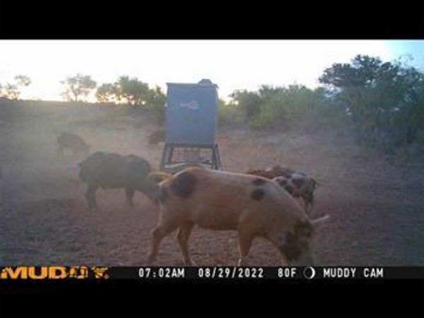 TBD U S Highway 277, Bronte, TX 76933