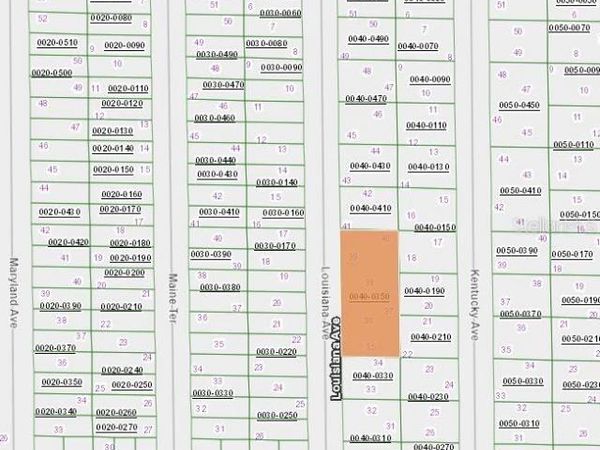 00 LOUISSIANA AVENUE, HAWTHORNE, FL 32640