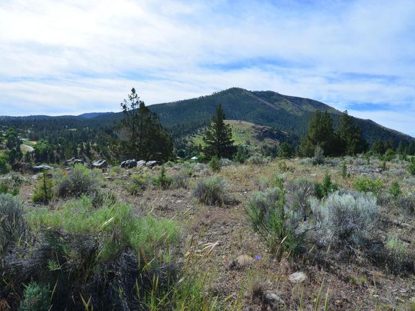 216 Elkview Drive, Canyon City, OR 97820