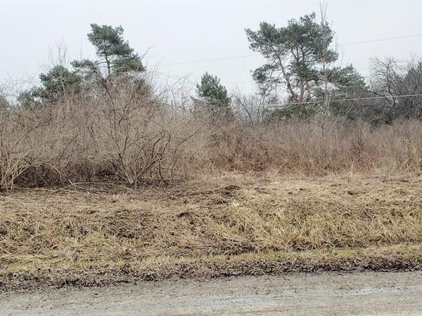 2300 N MCKINLEY Road, Flushing Twp, MI 48433