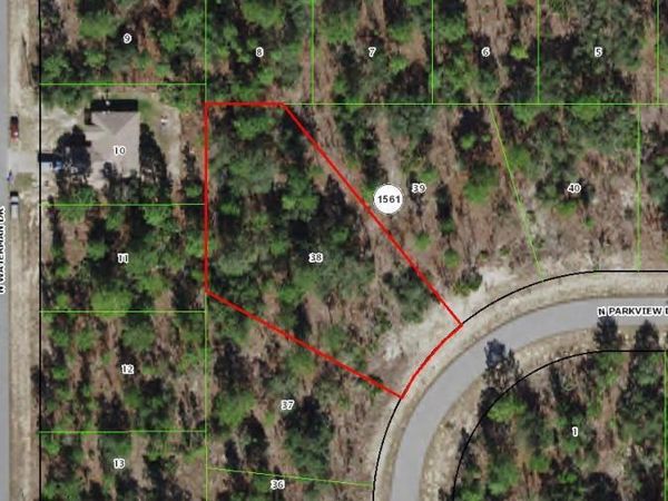 3617 W Parkview Drive, Citrus Springs, FL 34433