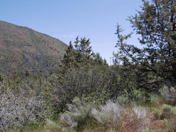 Lot 37 Peregrine Heights, Klamath Falls, OR 97601