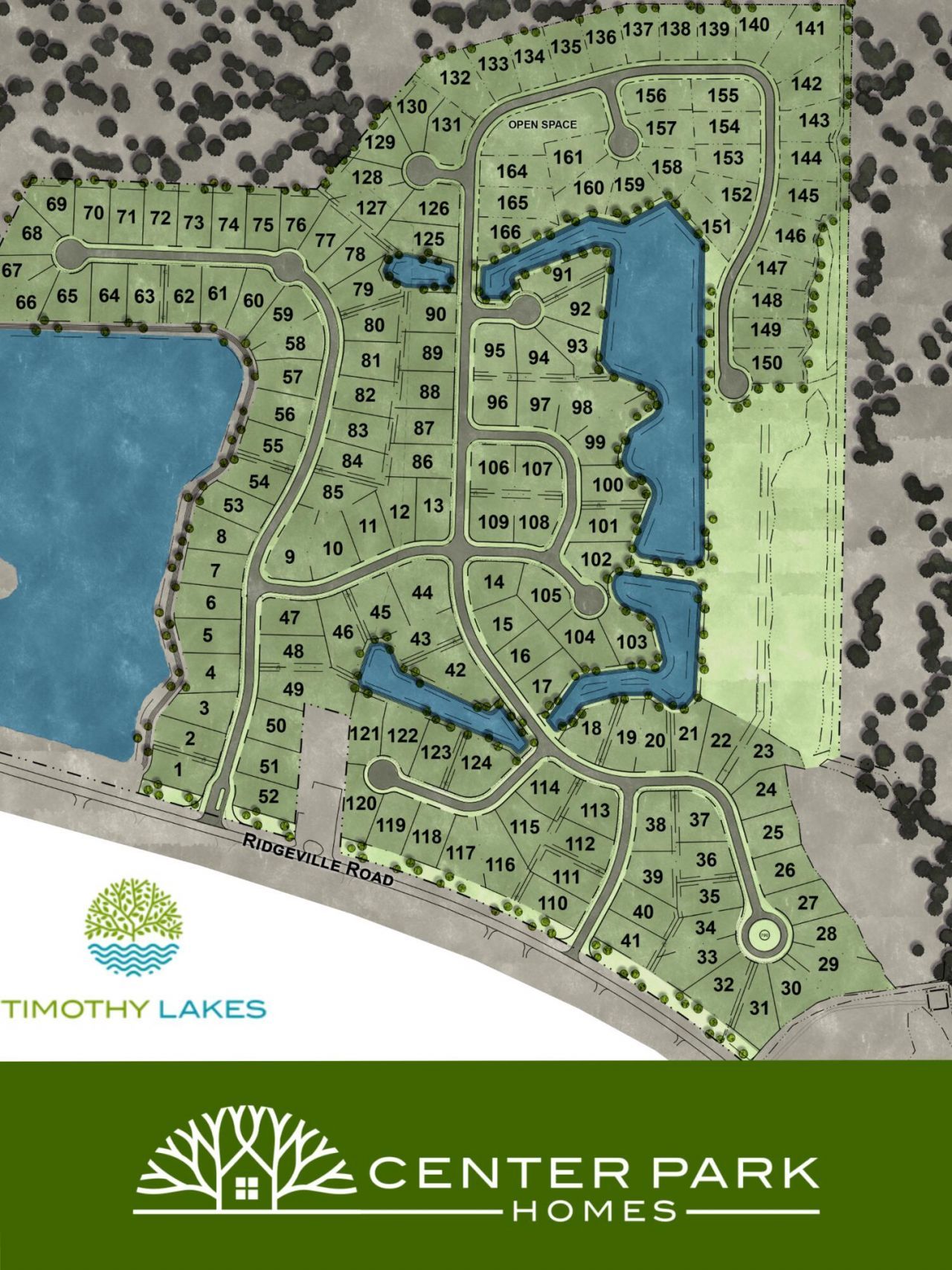 114 Augusta Pass Drive Photo 7