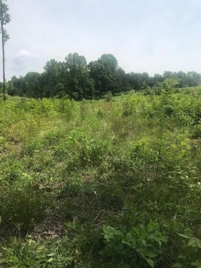 9999 Mitchell Creek Road, London, KY 40741