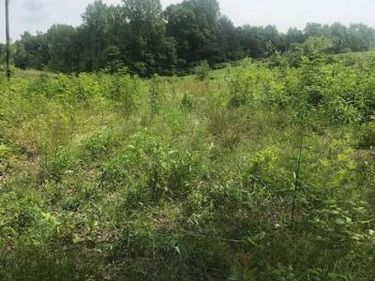 9999 Mitchell Creek Road, London, KY 40741