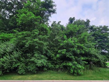 Lot 12 Wyndam Lane, Hamburg Twp, MI 48116