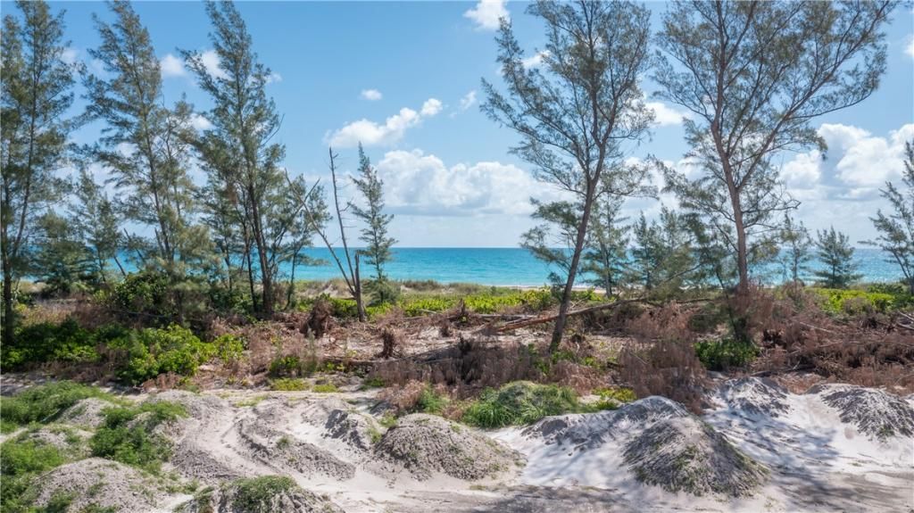 4372 Diamond Shores Way, Hutchinson Island, FL 34949 Photo