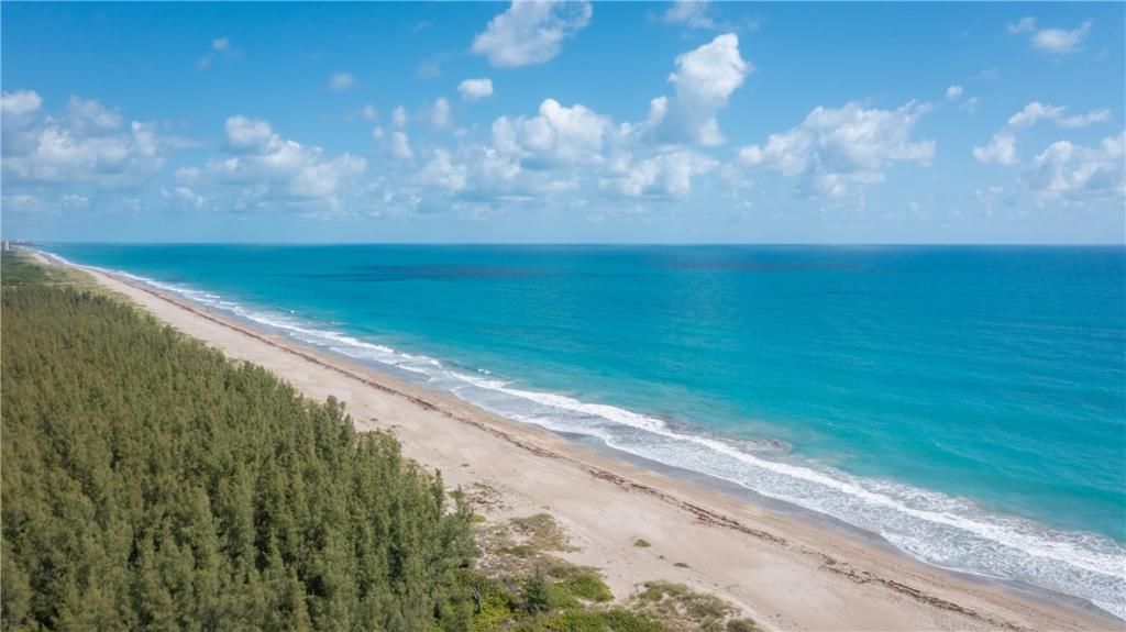 4372 Diamond Shores Way, Hutchinson Island, FL 34949 Photo