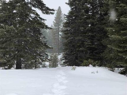 88 Bailey Creek Drive, Lake Almanor, CA 96137 Photo