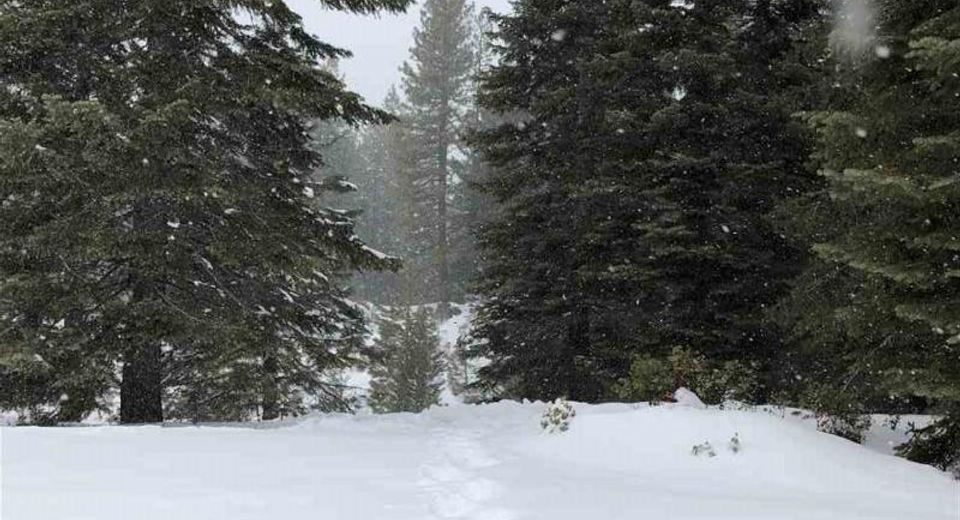 88 Bailey Creek Drive, Lake Almanor, CA 96137 Photo