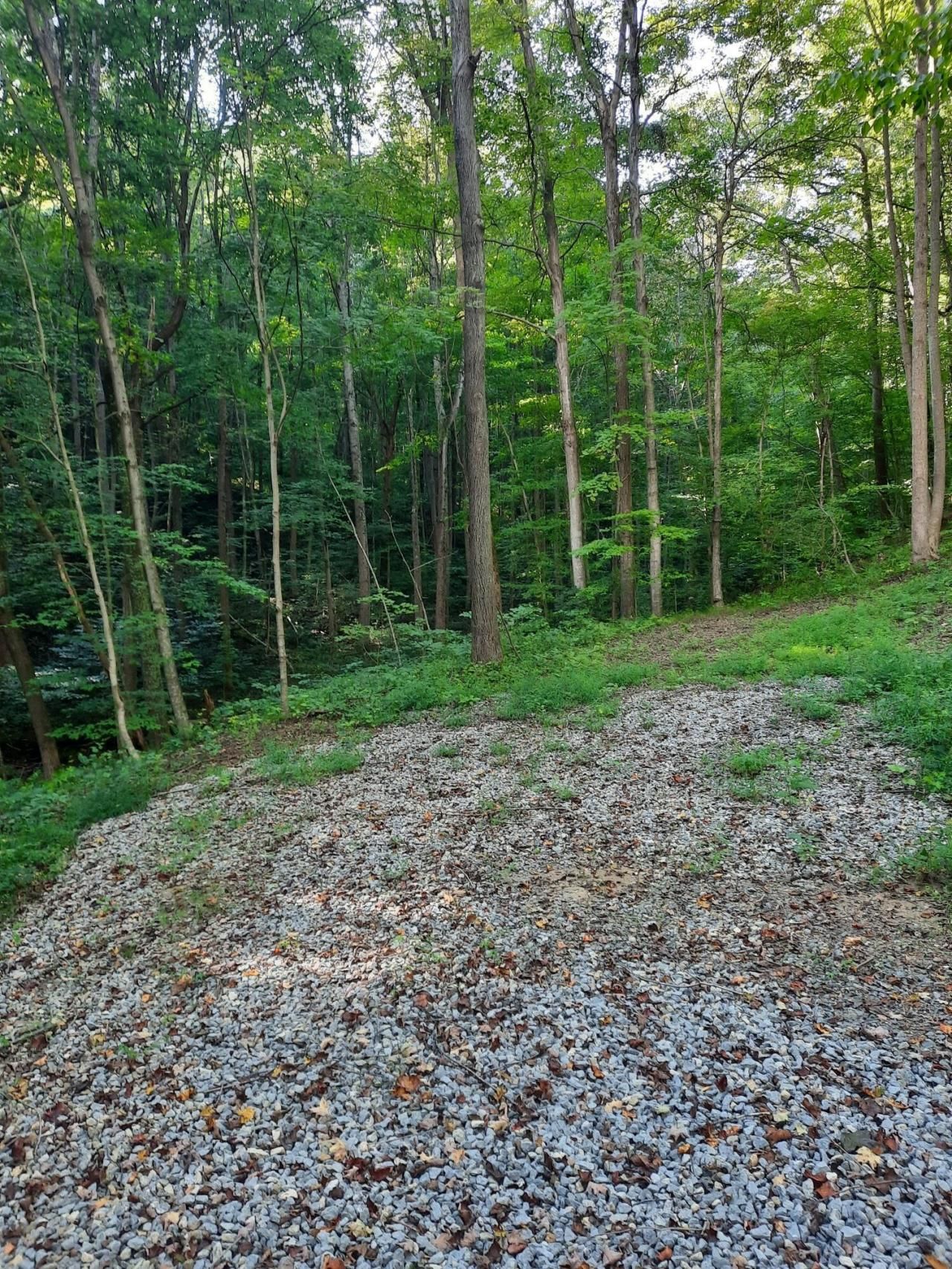 0 Auerville Road, Bainbridge, OH 44023 Main Photo