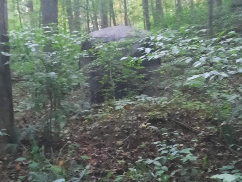 0 Auerville Road, Bainbridge, OH 44023 Photo 11