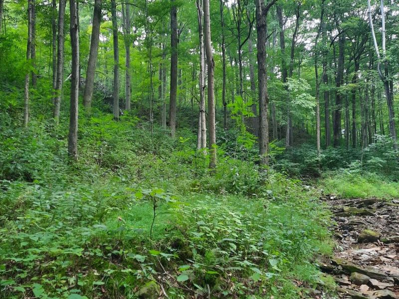 0 Auerville Road, Bainbridge, OH 44023 Photo 2