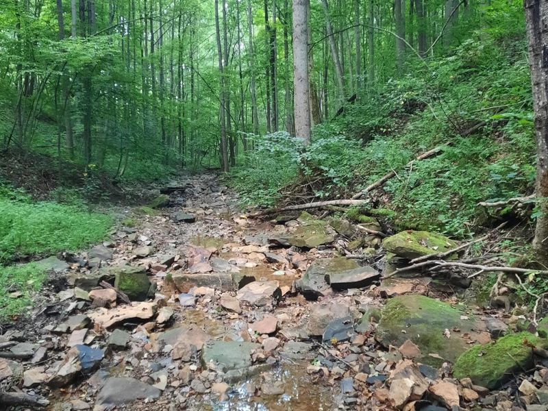 0 Auerville Road, Bainbridge, OH 44023 Photo 3