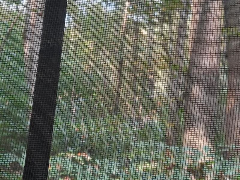 0 Auerville Road, Bainbridge, OH 44023 Photo 4