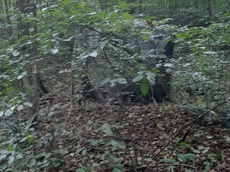 0 Auerville Road, Bainbridge, OH 44023 Photo 5