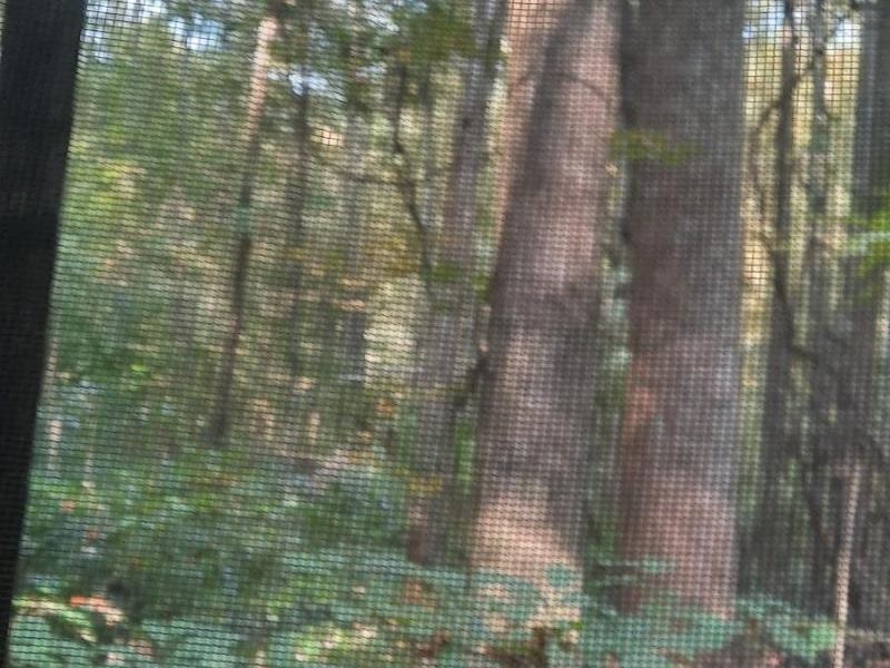 0 Auerville Road, Bainbridge, OH 44023 Photo 6