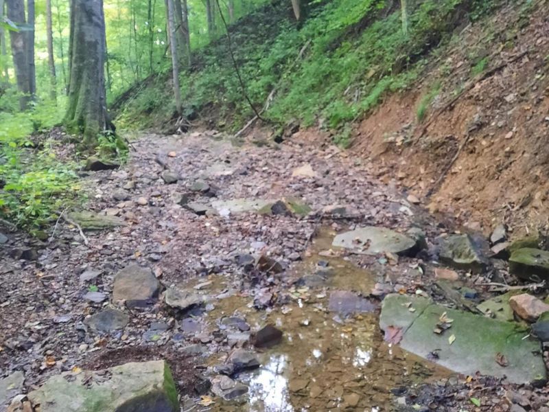 0 Auerville Road, Bainbridge, OH 44023 Photo 7