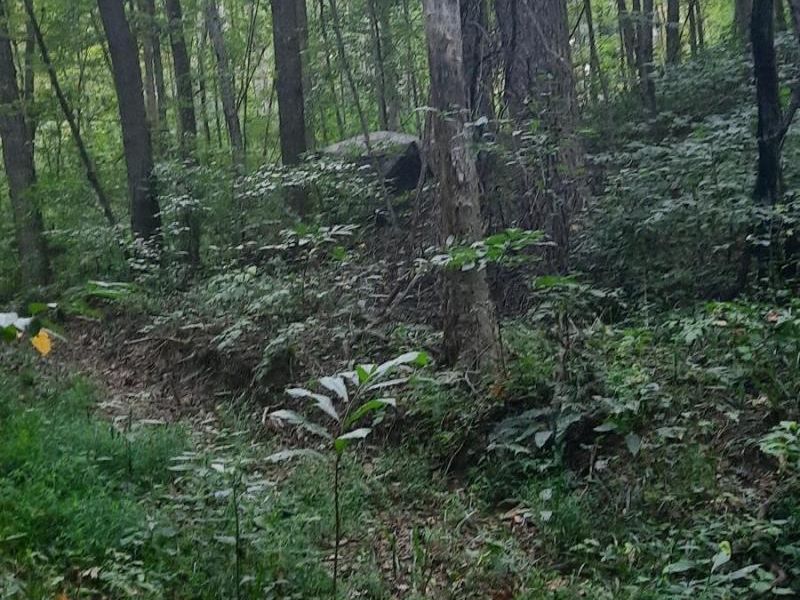 0 Auerville Road, Bainbridge, OH 44023 Photo 8