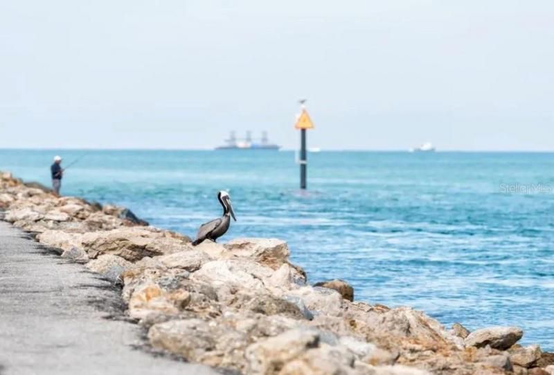 Please Call For Address, Venice, FL 34285 Photo