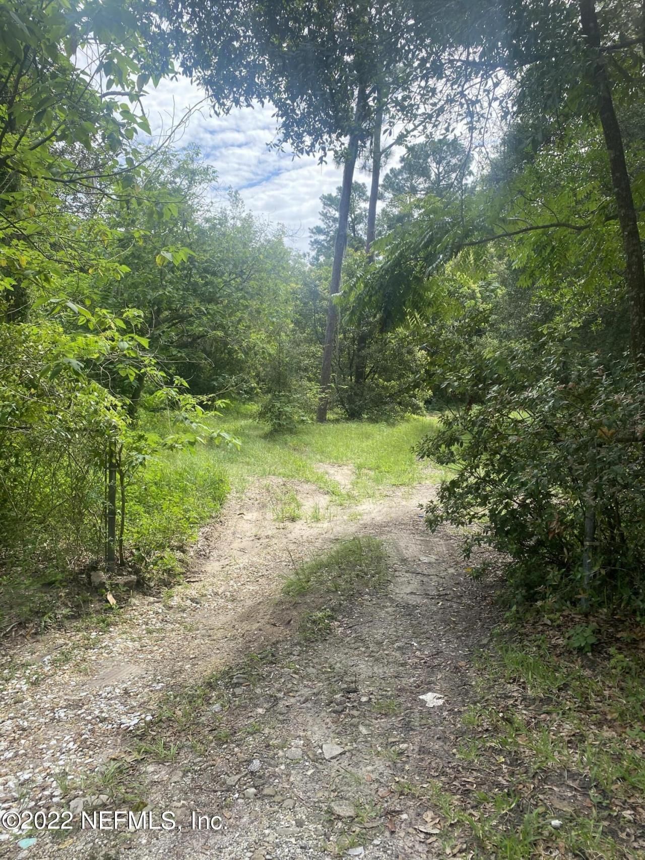 1705 Live Oak Drive, Jacksonville, FL 32246 Photo