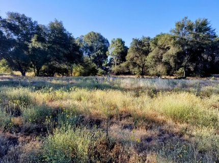 6760 Douglas Blvd, Granite Bay, CA 95746 Photo