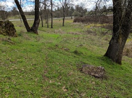 8100 Mt Aukum Rd, Mount Aukum, CA 95684 Photo