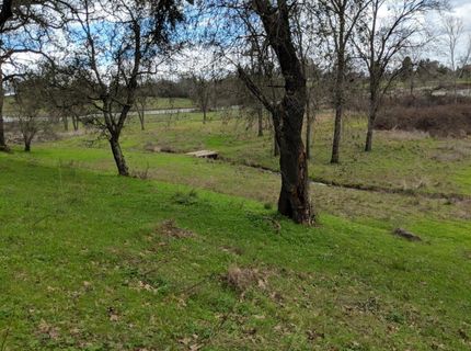 8100 Mt Aukum Rd, Mount Aukum, CA 95684 Photo