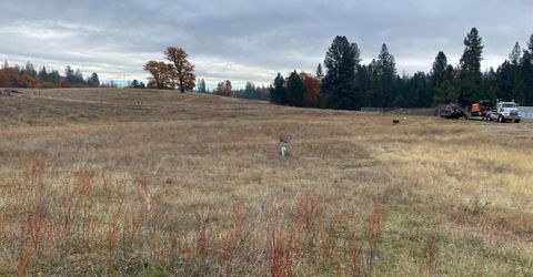6434 Greeley Hill Rd, Coulterville, CA 95311 Photo
