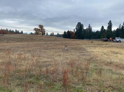 6434 Greeley Hill Rd, Coulterville, CA 95311 Photo