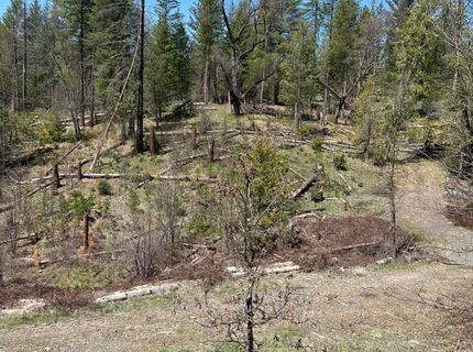 6493 Greeley Hill Rd, Coulterville, CA 95311 Photo