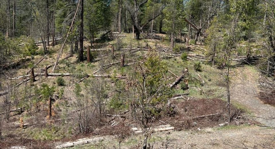 6493 Greeley Hill Rd, Coulterville, CA 95311 Photo