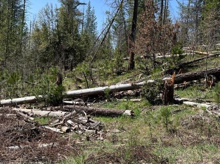 6493 Greeley Hill Rd, Coulterville, CA 95311 Photo