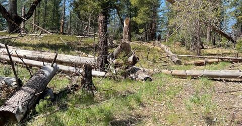 6493 Greeley Hill Rd, Coulterville, CA 95311 Photo