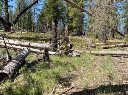 6493 Greeley Hill Rd, Coulterville, CA 95311 Photo