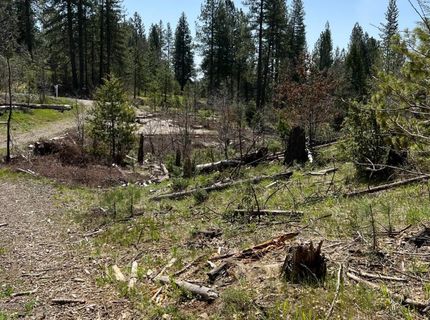 6493 Greeley Hill Rd, Coulterville, CA 95311 Photo