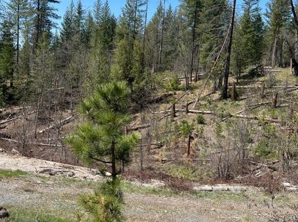 6493 Greeley Hill Rd, Coulterville, CA 95311 Photo