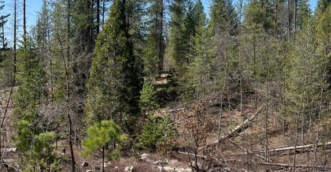 6493 Greeley Hill Rd, Coulterville, CA 95311 Photo